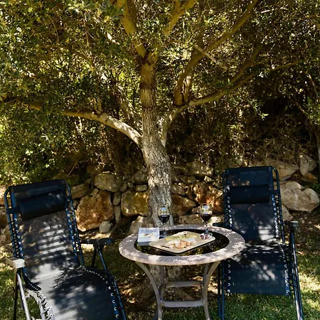 The Alou 1 - Jacuzzi - Bbq - Garden - Pool