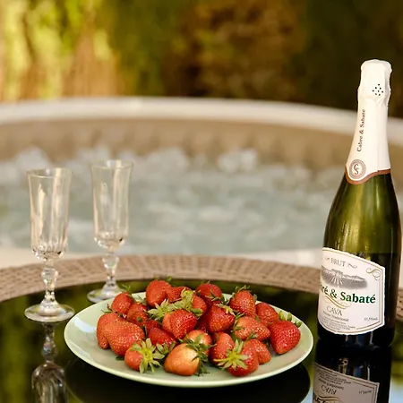 Villa The Alou 1 - Jacuzzi - Bbq - Garden - Pool